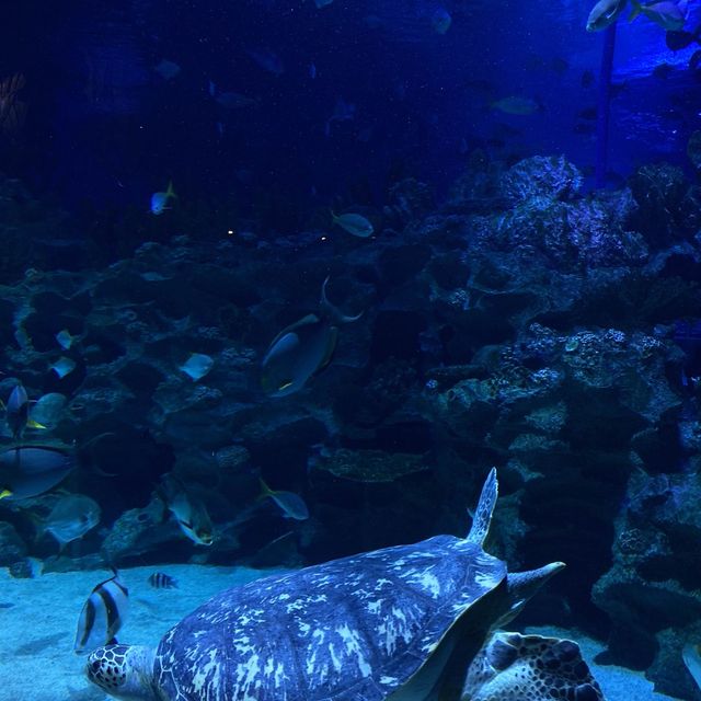Aquaria KLCC