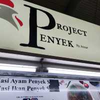 Project Penyek by Ansar
