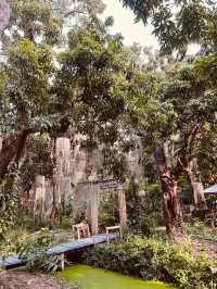 Go on a trip to this NATURA CAFÈ right NOW!