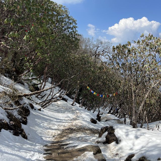 Mardi Himal Trek ..