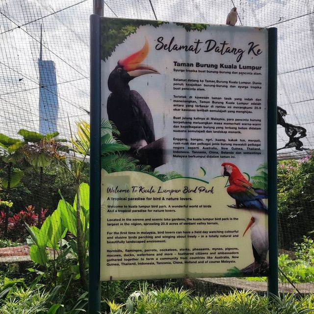 A Tropical Paradise for Bird Enthusiasts 