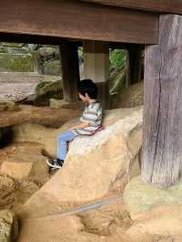 【滋賀】石山寺を散策しよう
