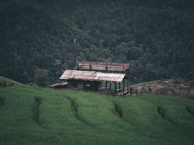 ป่าบงเปียง นาขั้นบันไดที่สวยที่สุดในไทย 