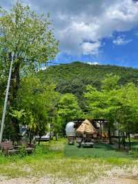 외국 감성 가득한 귀여운 카라반 ‘캠프 오후4시’ 🏕️❤️