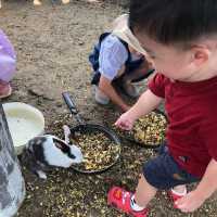 Kids Friendly Farm Chiyoda in Biei