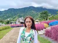 เขาค้อ จ.เพชรบูรณ์ เมืองแห่งเทพนิยาย