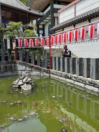 估唔到成田咁好玩 🎏賞日系建築⛩️嘆美食🍱再血拼