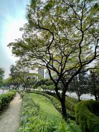 นั่งเล่นที่สวนสาธารณะ Fort Canning Park