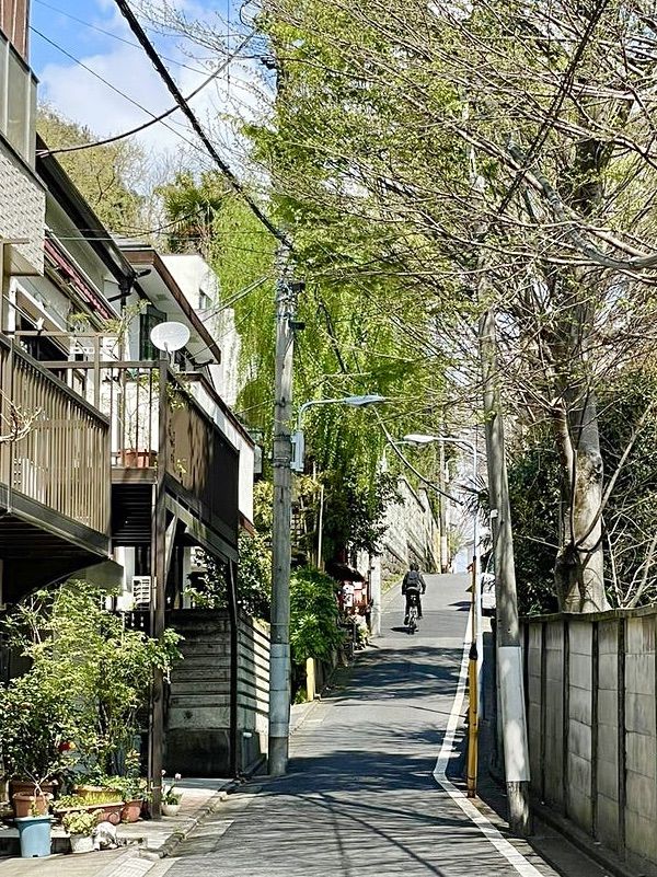 【東京都/ねんねこ神社】谷中にある猫だらけの神社