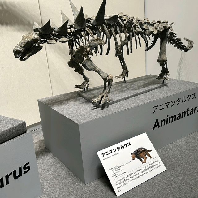 新属新種もりだくさん！期間限定 恐竜博2023 大阪市立自然史博物館