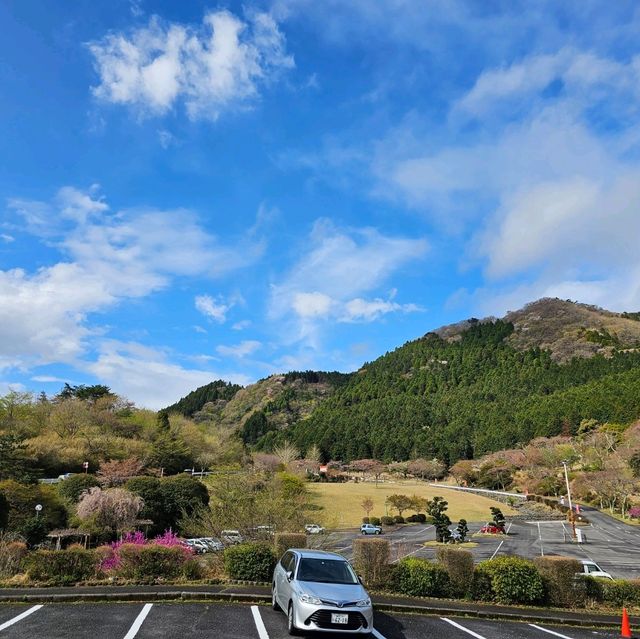 造就別府溫泉鄉的日本名山鶴見岳⛰️
