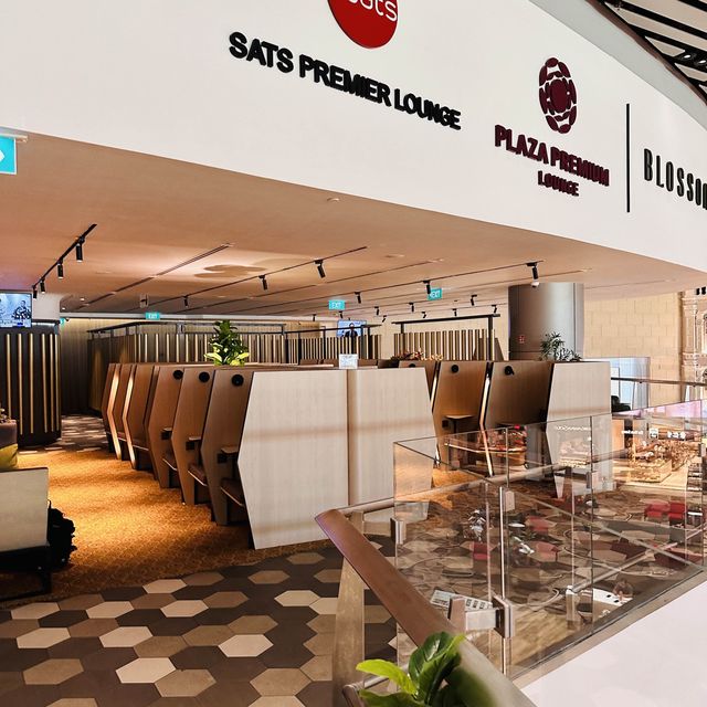 獨愛新加坡環亞機場貴賓室的喇沙