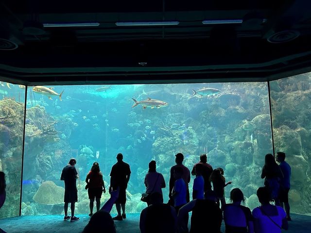 The Florida Aquarium