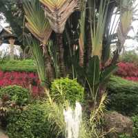 The Gardens of Panyu