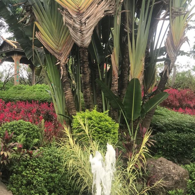 The Gardens of Panyu