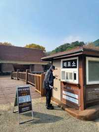 단풍구경도 하고 역사관람도 하는 강릉관광코스🍂