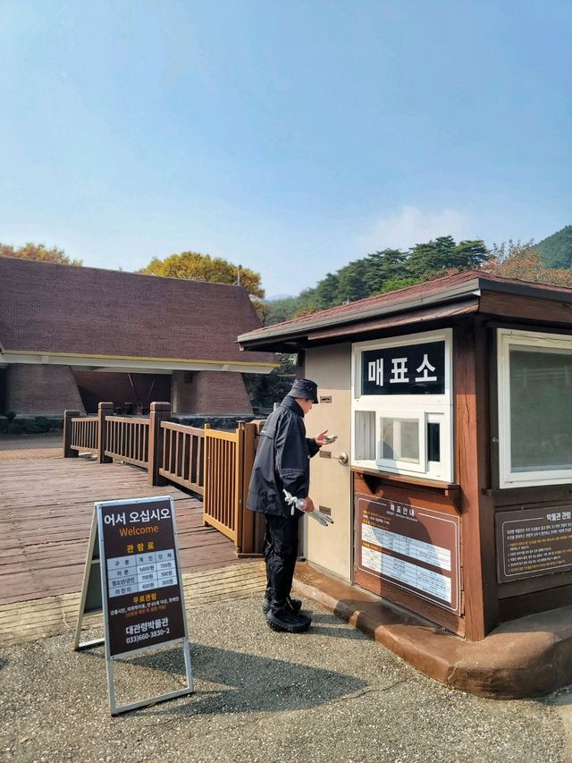 단풍구경도 하고 역사관람도 하는 강릉관광코스🍂