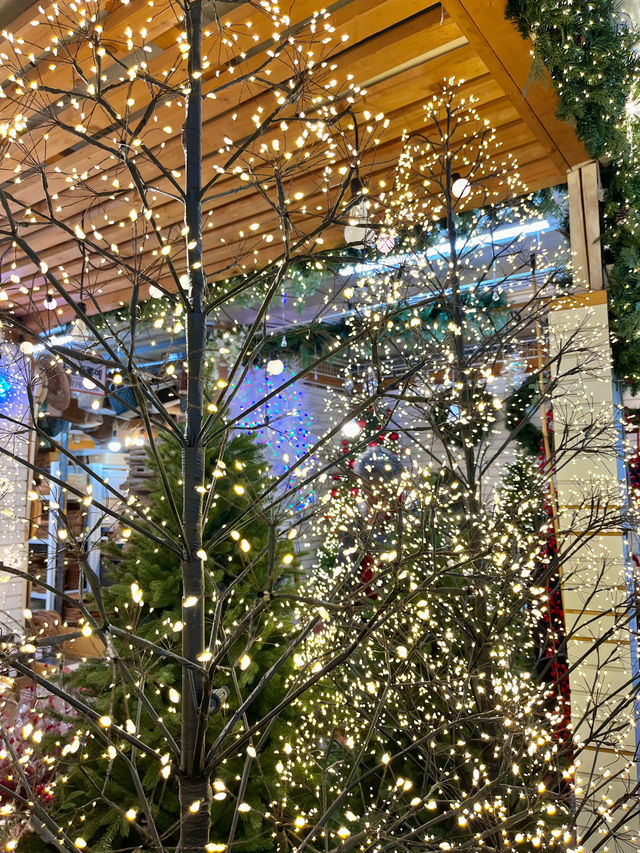 크리스마스 트리 구경은 역시 남대문🎄