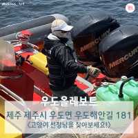 여행카드뉴스로 보는 뚜벅이 제주도 2박 3일 코스