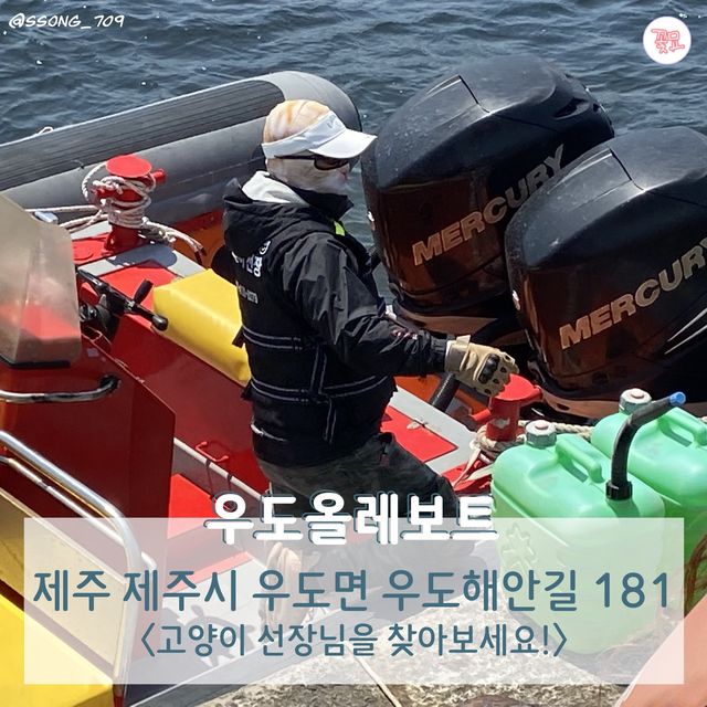 여행카드뉴스로 보는 뚜벅이 제주도 2박 3일 코스