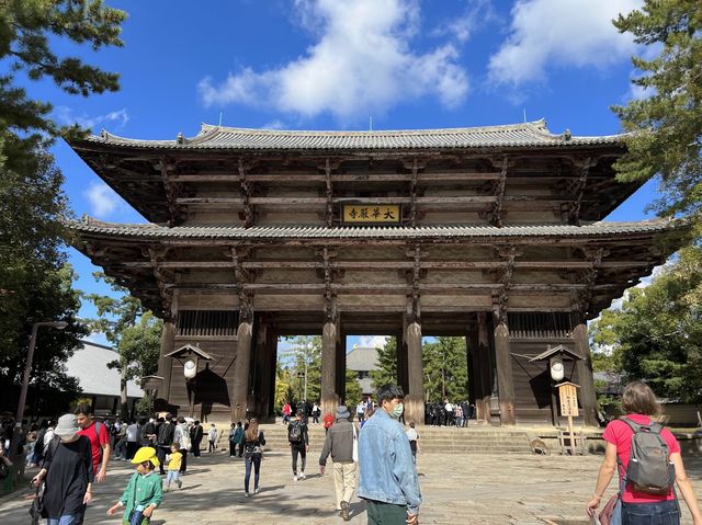 日本｜奈良｜世界最大木造建築文化遺產之一  東大寺