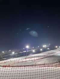 홍천 비발디파크에서 짜릿한 야간 스키⛷️🌙