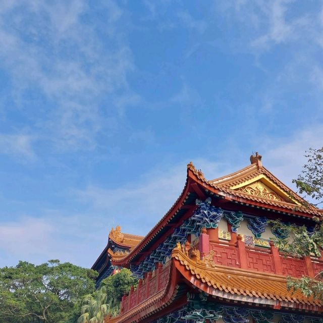 坐水晶360欣賞櫻花+牛牛+纜車
