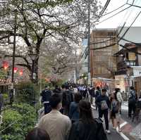 【東京】中目黒の桜並木