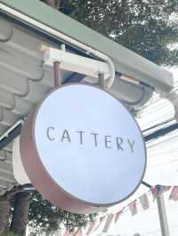 CATTERY Cafe 