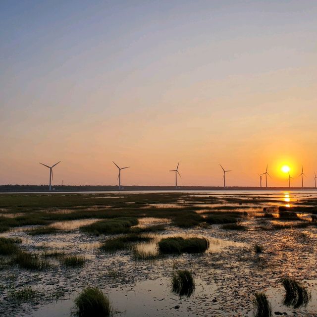 台中必去景點高美濕地