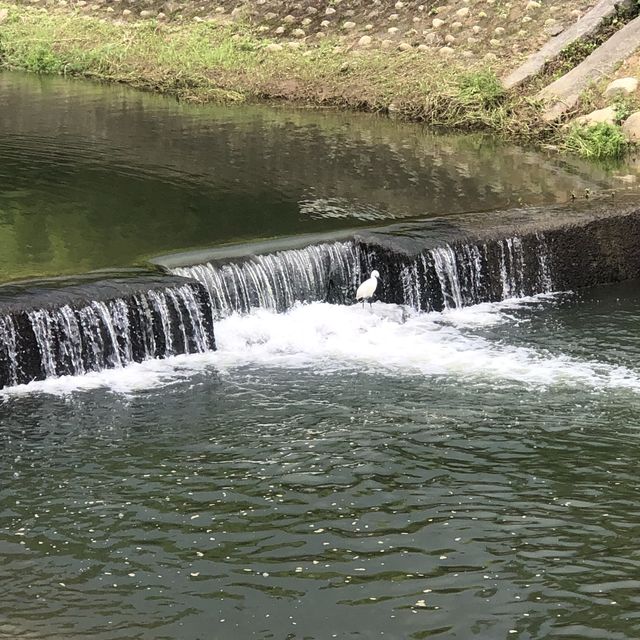 關西牛欄河