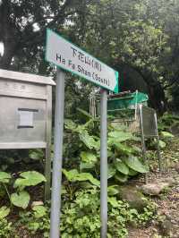 Hiking route from Tsuen Wan for nice view & food