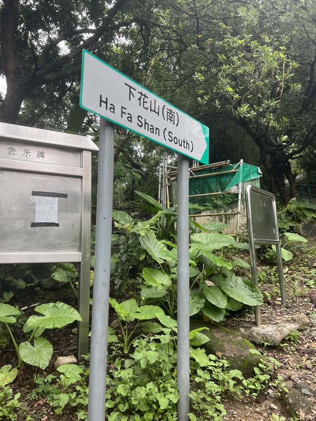 Hiking route from Tsuen Wan for nice view & food