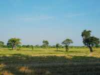 Rice Field Home Farm Stay & Cafe ที่พัก ร้านอาหาร 