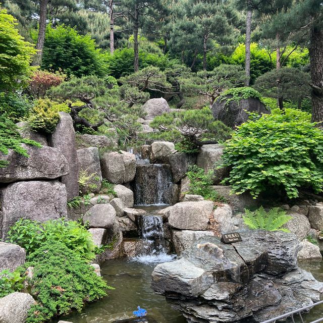 초록 초록 서울근교 힐링공간💚 화담숲🌿