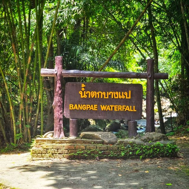 น้ำตกบางแป ภูเก็ต