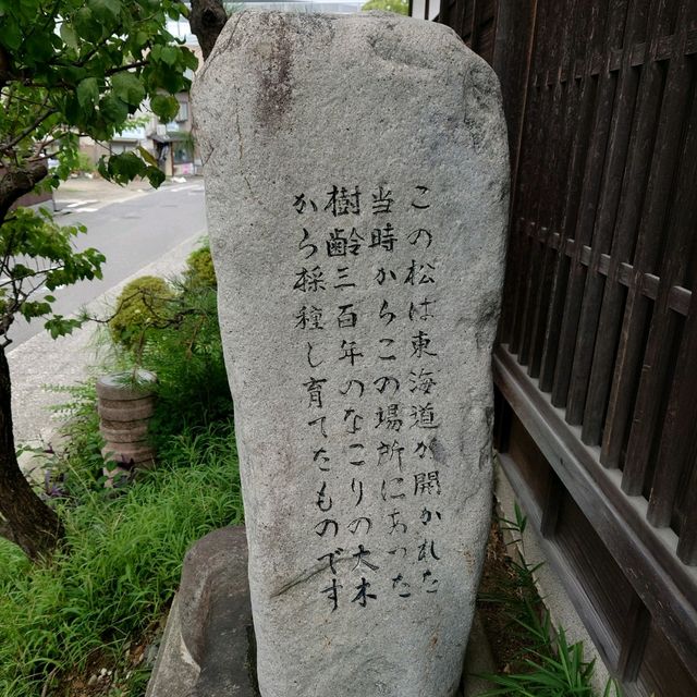 愛知旅行！名古屋市「祇園寺」と「東海道五十三次二代目松」