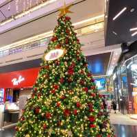 313 Christmas lights