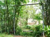 Assana Cafe Khaoyai 