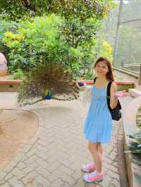 Adventure at Zoo Negara!
