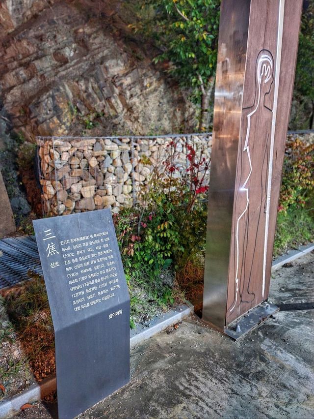 야경즐기기 좋은 영천 동의한의마을✨️