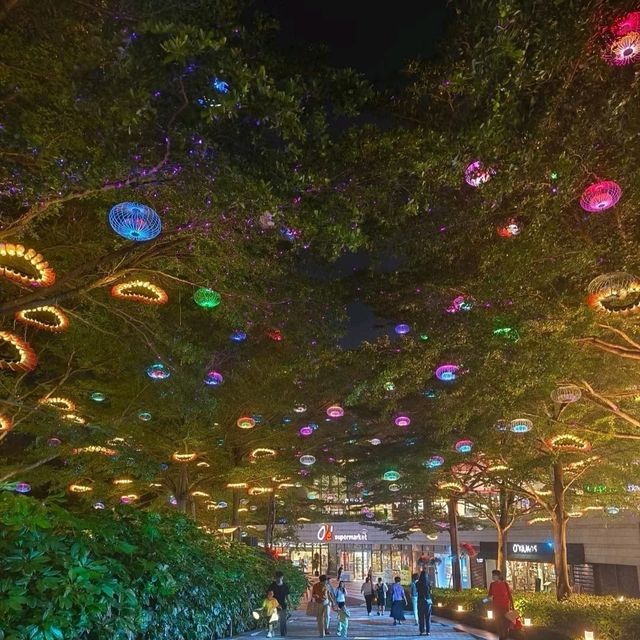打卡輕鬆遊：歡樂海岸