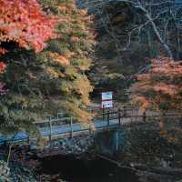 男鹿國定公園 🍁🌲迷人秋色🍂🏞️