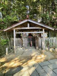 【京都府/二葉姫稲荷神社】神宮寺山の麓にある神社