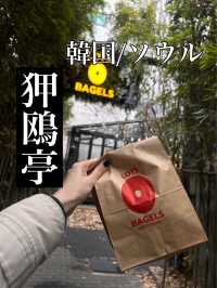 韓国/ソウル【狎鴎亭】竹の入口！？🌿狎鴎亭にあるベーグル屋さん🥯