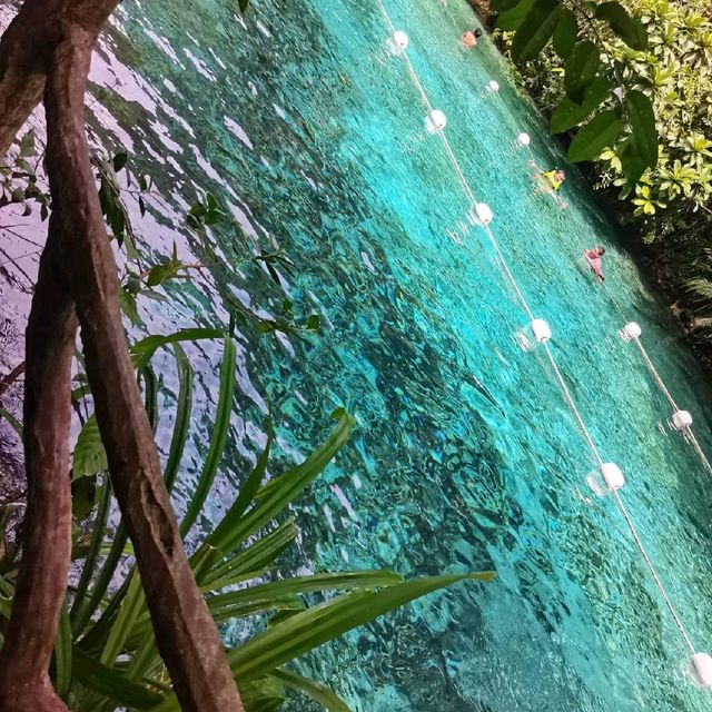 enchanted river / family bonding