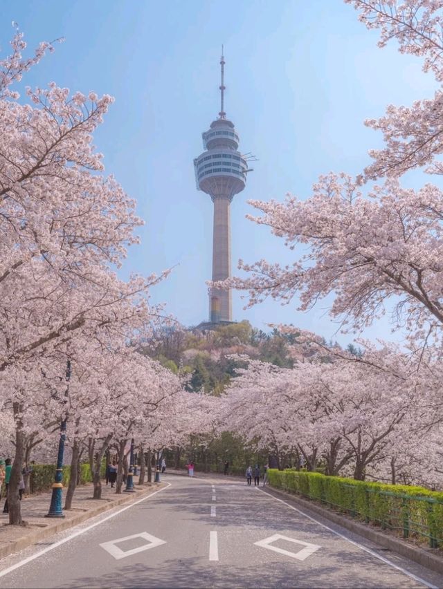 동화속에 온 듯 가슴이 설레는 이곳"이월드"