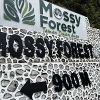 Breathe in fresh air at Mossy Forest Cameron 