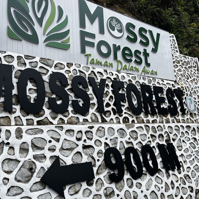 Breathe in fresh air at Mossy Forest Cameron 