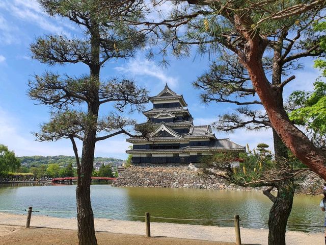 Matsumoto Castle | Nagano Japan 🇯🇵